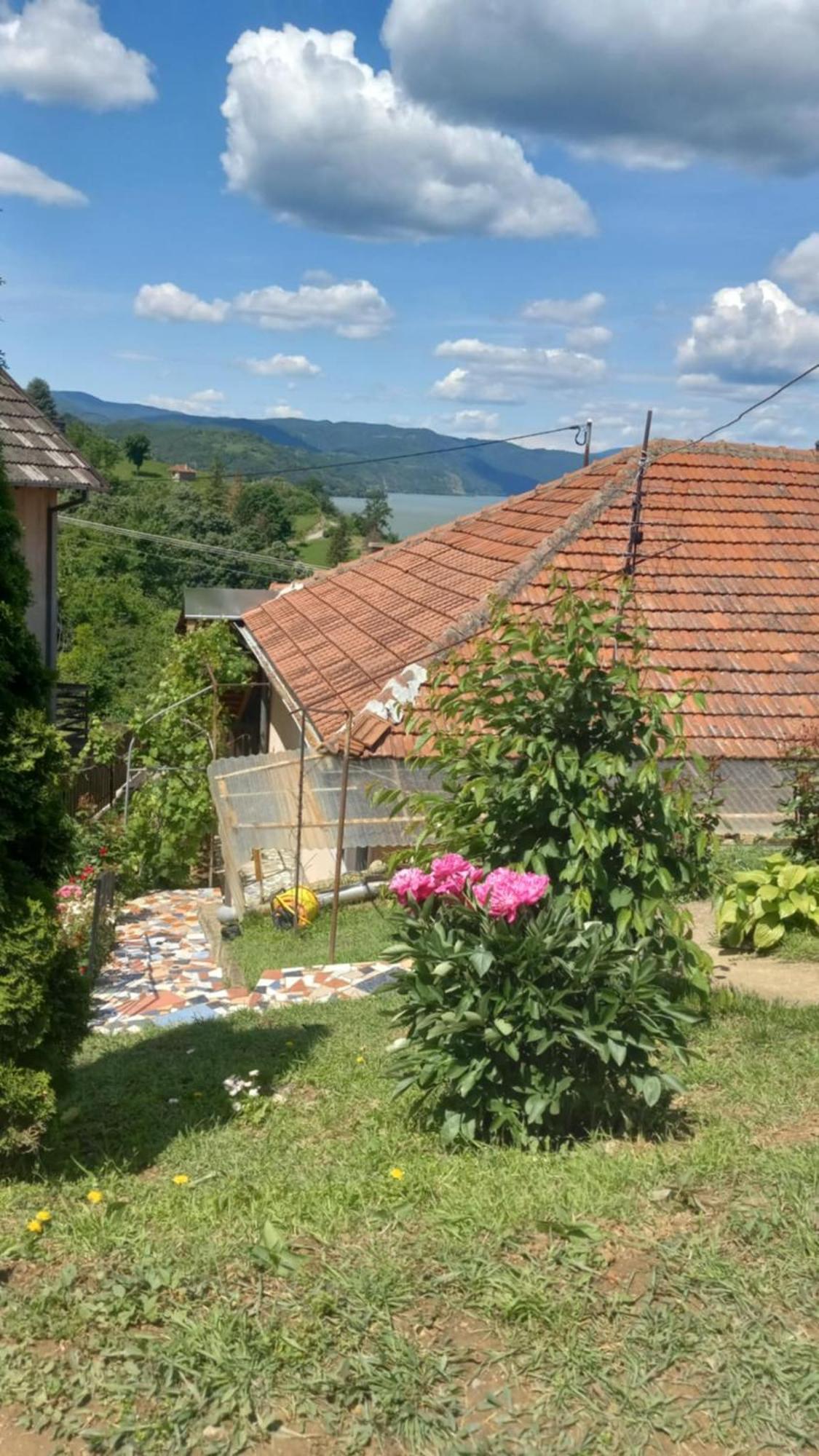 Apartman Sani Donji Milanovac Exterior foto
